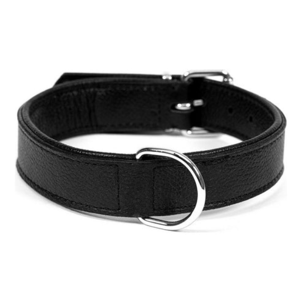Hundhalsband