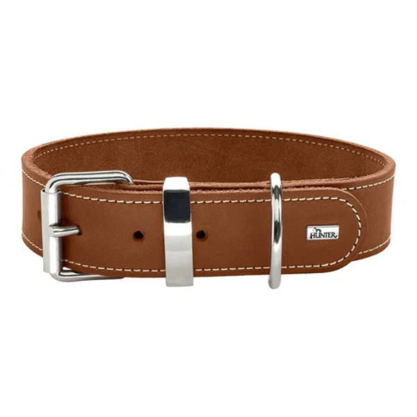 Hundhalsband läder