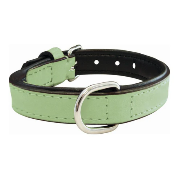 Hundhalsband vadderat