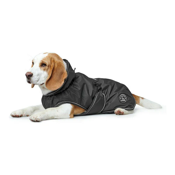Hundkläder